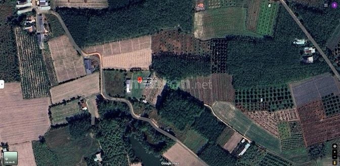 🏡 BÁN ĐẤT NỀN GIÁ RẺ – TRUNG TÂM XÃ BẦU ĐỒN, GÒ DẦU, TÂY NINH 🌿