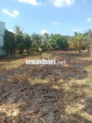 Chính chủ bán gấp đất mặt tiền Tân Long, Bình Chánh, giá đầu tư,1200m2