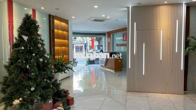 Tòa Nhà MT Nguyễn Cư Trinh , Quận 1 - nh 9x20m - 5 Tầng thang máy