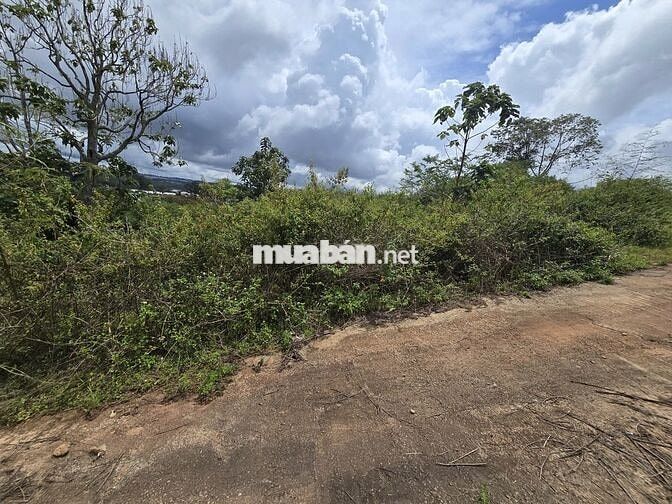 ĐẤT FULL THỔ ĐẦU TƯ NGHỈ DƯỠNG, VIEW THÔNG GIÁ TỐT