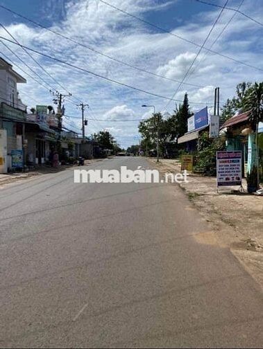 Đất ở thị trấn Tầm Vu đang cần bán gấp, 520 triệu/100m2, đất chính chủ