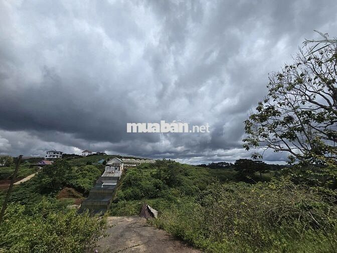 ĐẤT FULL THỔ ĐẦU TƯ NGHỈ DƯỠNG, VIEW THÔNG GIÁ TỐT