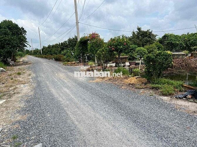 500m Đất Thổ + Vườn Sát Đường Vành Đai 4