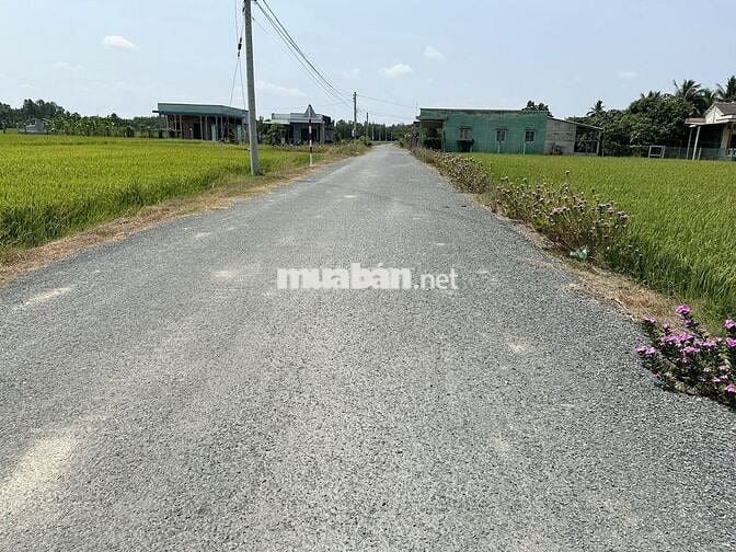 NHỰA MÀ RẺ HƠN BÊ TÔNG. 435 triệu  Đất Thổ Cư  90m2