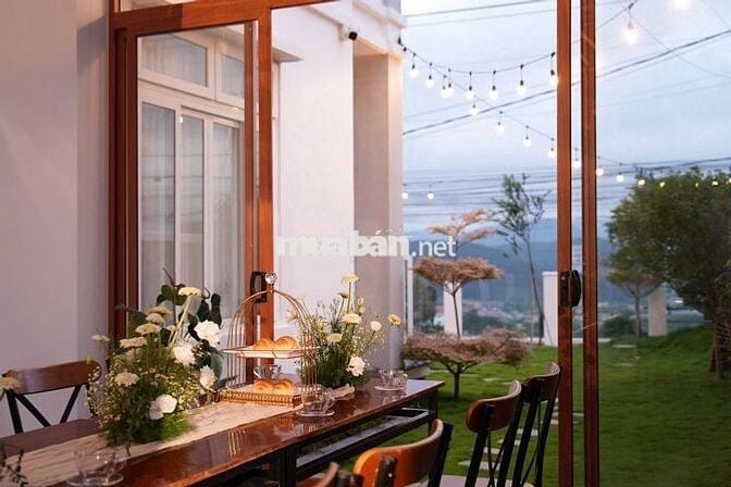 🌿 Bán gấp nhà đẹp Triệu Việt Vương, Phường 4 – chỉ xách vali vào ở!