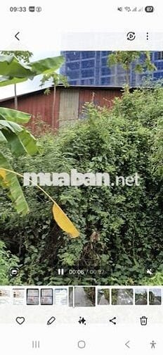 Cần bán 141m2 đất thổ đường liên xã Phước Lý - Mỹ Yên