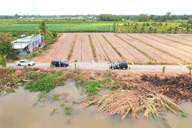 Hàng vip, 1000m2 đất vườn chuyển thổ View Kênh, 1.55 tỷ