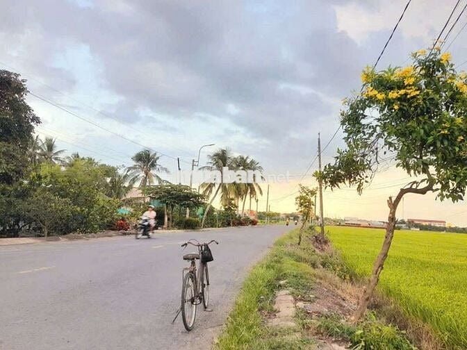 375m2 đất thổ cư đường nhựa nguyễn văn mỹ chỉ 1.29 tỷ