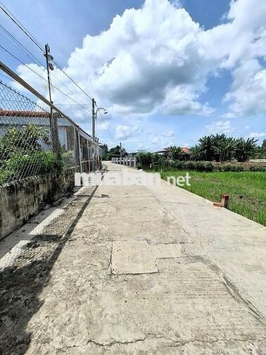 319 triệu 101m2 Thổ ngang 6m ĐƯỜNG 2 Ô TÔ Sổ Sẵn. Cách Nhựa Chỉ 150m