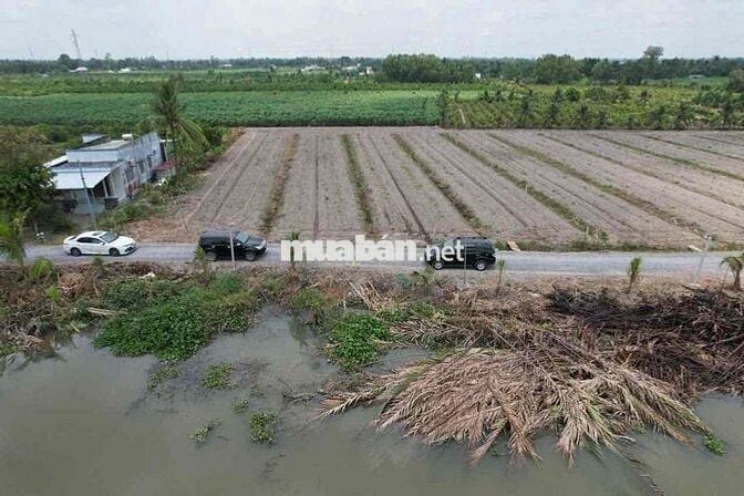 Hàng Vip - Đất Vườn MT Nhựa 816 View Kênh Siêu Mát