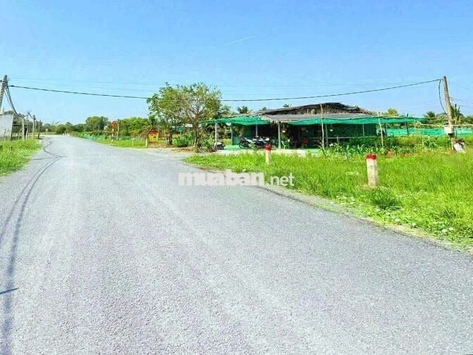 375m2 đất thổ cư đường nhựa nguyễn văn mỹ chỉ 1.29 tỷ
