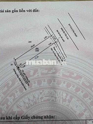 Hàng Vip - Đất Vườn MT Nhựa 816 View Kênh Siêu Mát