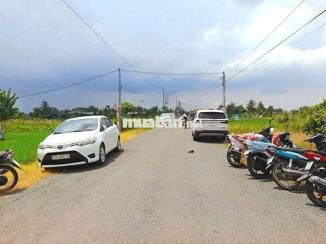 375m2 đất thổ cư đường nhựa nguyễn văn mỹ chỉ 1.29 tỷ