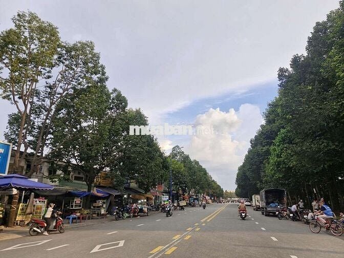 ĐẤT MẶT TIỀN KINH DOANH TRUNG TÂM BÀU BÀNG