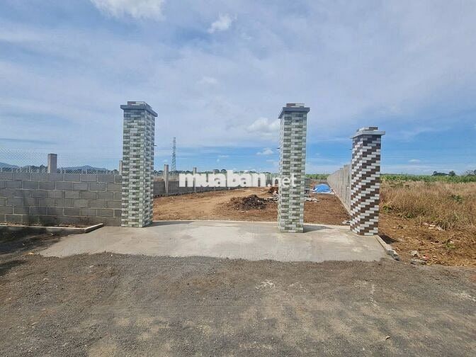 Đất Long Đất - Tp.HCM 1000m2 có thổ cư chính chủ bán