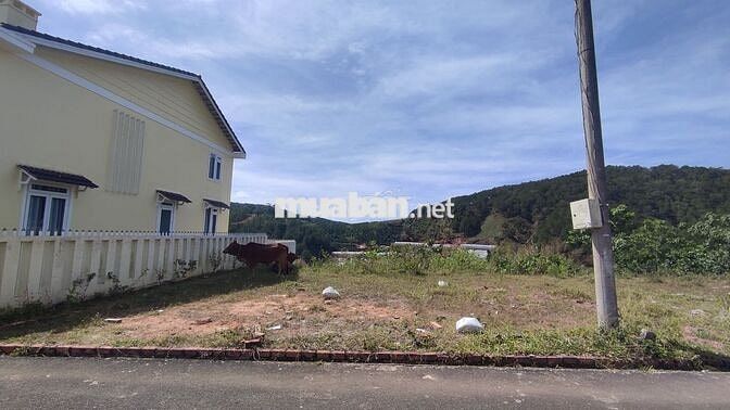 Bán Gấp 211m2 Đất Mặt tiền Xây VILLA Phường 7 Đà Lạt  5,2 Tỷ