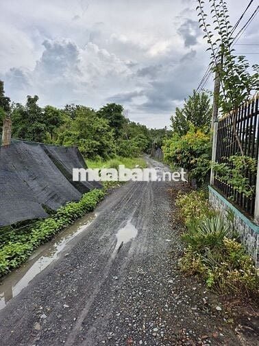Bán gấp lô đất vườn 1.218 m2 (2 sổ) gần đường Hùynh Thị Luông, xe hơi