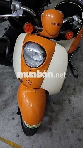 Xe scoopy Nhật 50cc