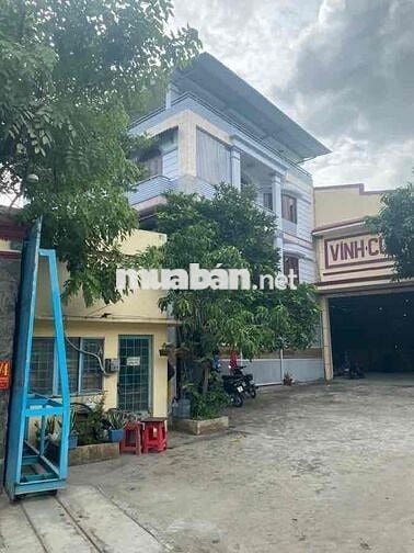 BÁN NHÀ ĐẤT TRIỆU ĐÔ, BÌNH TÂN, 14000m2, DOANH THU 1,5 TỶ/NĂM