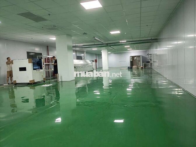 Cho thuê xưởng 20.000m2 tại mặt tiền cực đẹp ở Tân Uyên Bình Dương