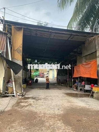 BÁN NHÀ ĐẤT TRIỆU ĐÔ, BÌNH TÂN, 14000m2, DOANH THU 1,5 TỶ/NĂM