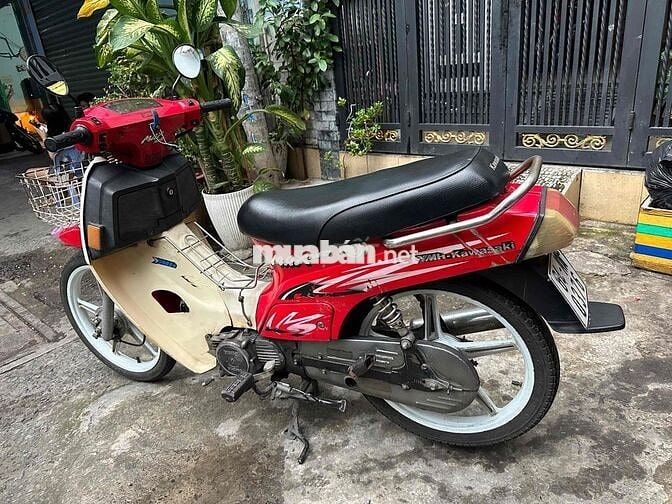 max 50cc ko cần bằng lái