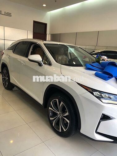 Lexus RX 2019 300 - 55700 km