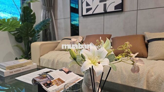 Chỉ từ 179 triệu sở hữu ngay căn hộ mặt tiền tỉnh lộ 10