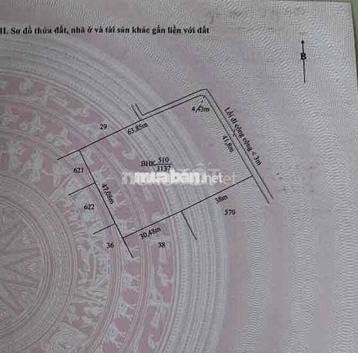 3100m(44x65m) chuyển full thổ cư. Nhựa vô 300m, về Bình Chánh 15km