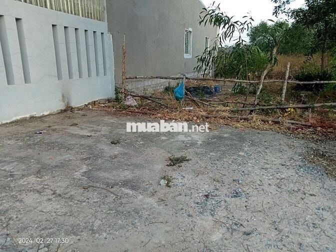 CHÍNH CHỦ BÁN ĐẤT PHƯỚC HÒA_PHÚ MỸ