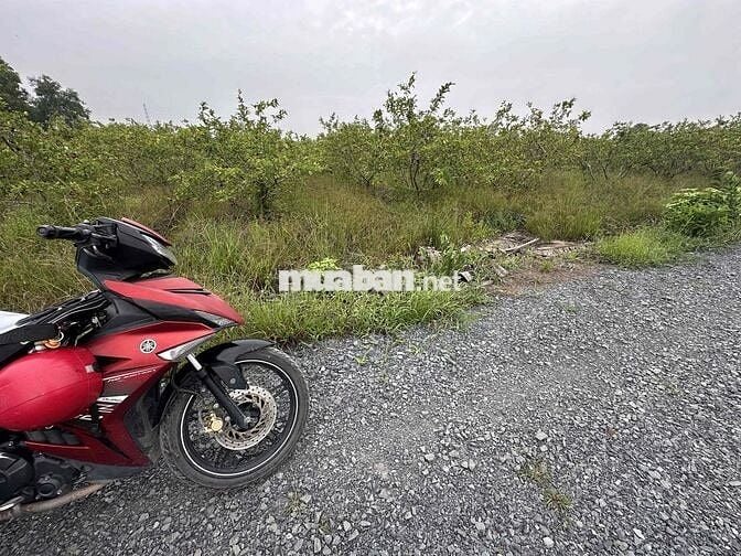 3100m(44x65m) chuyển full thổ cư. Nhựa vô 300m, về Bình Chánh 15km