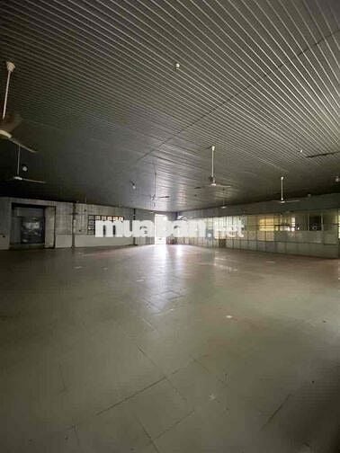 cho thuê kho xưởng 1000m2 giá rẻ