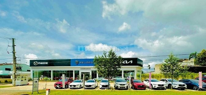 Tuyển dụng TƯ VẤN BÁN HÀNG XE Ô TÔ - THACO AUTO