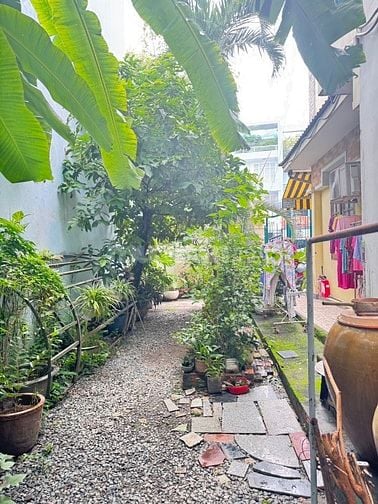 Bán 3 căn nhà liền kề đường Dương Quang Đông P5. 12x22m 2 lầu ST