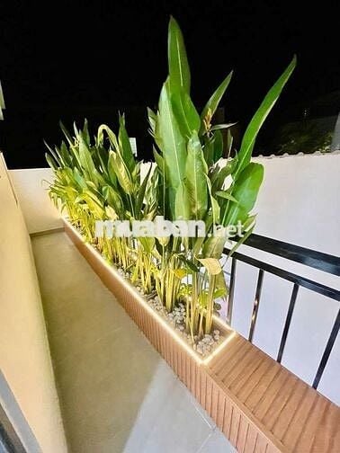 HUỲNH TẤN PHÁT, PHÚ XUÂN, NHÀ BÈ, DT 110M2, SHR