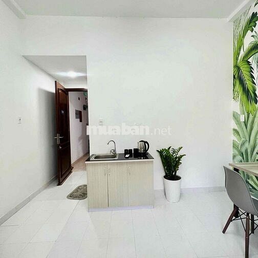 phòng dịch vụ cho thuê Nguyễn Văn Thủ Quận 1. Gần Công Viên Lê Văn Tám