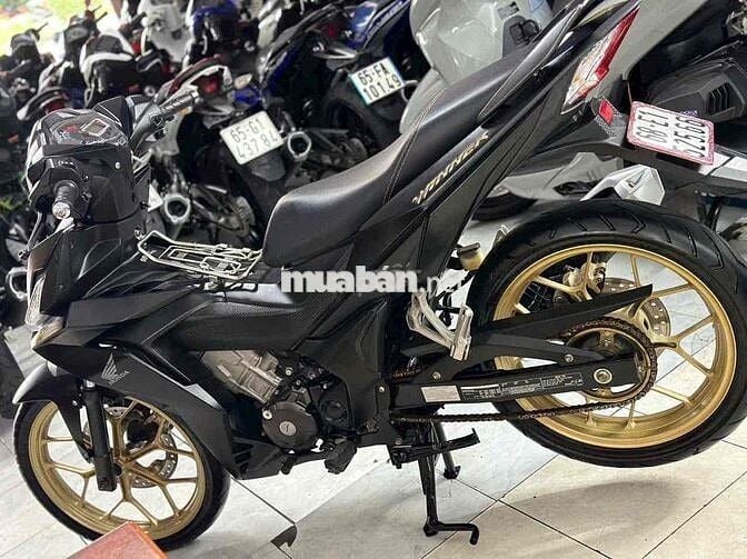 Winner V1 2019