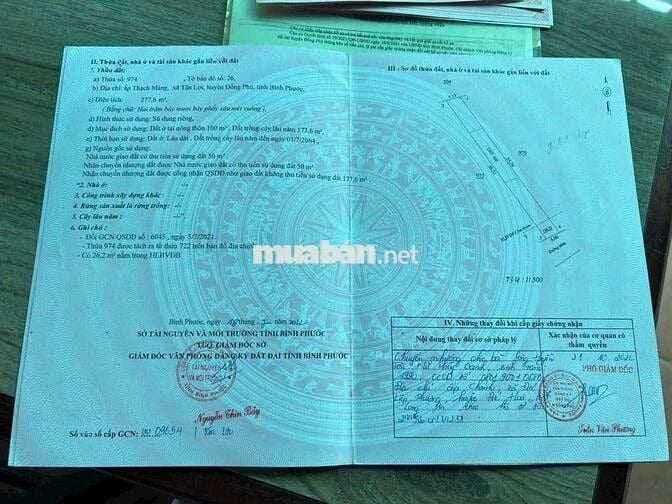 500triệu/lô Tân Hưng - Bình Phước