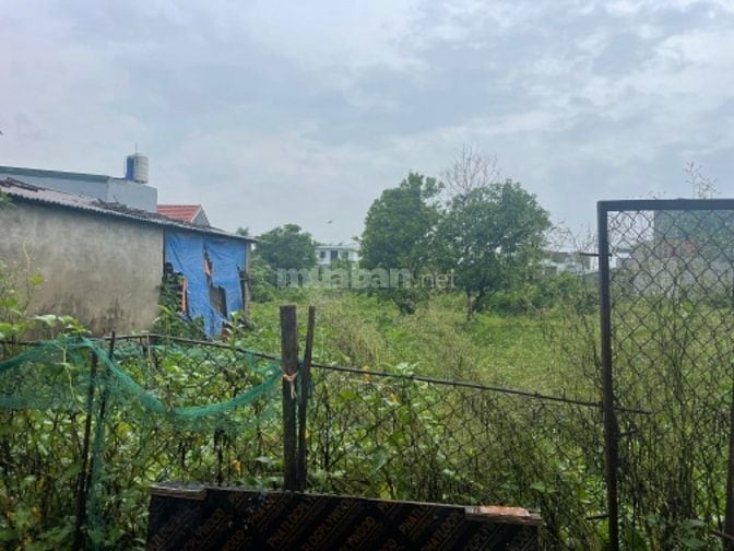 Chính chủ bán nhà đất Ngõ 18 Thôn Siêu Quần, Tả Thanh Oai, Thanh Trì, 