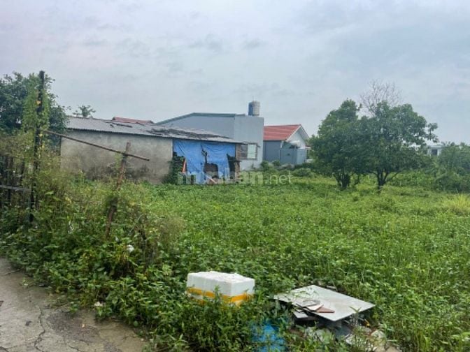 Chính chủ bán nhà đất Ngõ 18 Thôn Siêu Quần, Tả Thanh Oai, Thanh Trì, 