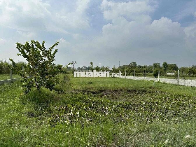 1000m2 đất củ chi bán lỗ 1tỷ 600