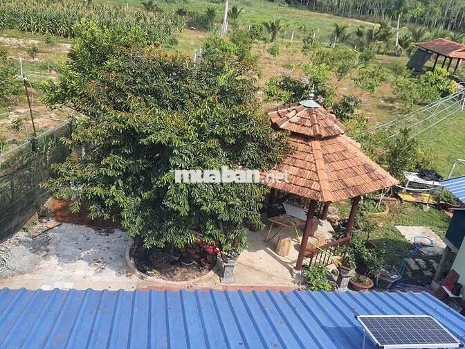 Nhà vườn nghỉ dưỡng chỉ vài trăm ở TPHCM