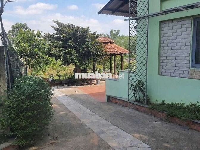 Nhà vườn nghỉ dưỡng chỉ vài trăm ở TPHCM