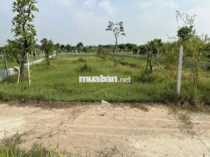 1000m2 đất củ chi bán lỗ 1tỷ 600