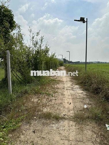 1000m2 đất củ chi bán lỗ 1tỷ 600