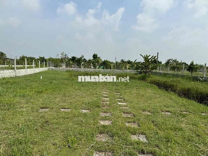 1000m2 đất củ chi bán lỗ 1tỷ 600