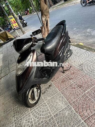 Bán atila chân bấn có giấy tờ