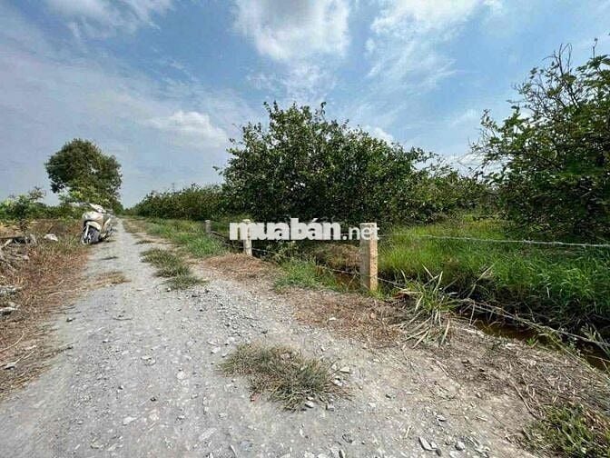 1000m Đất Vườn DT Đẹp 18x55m Có Thể Hiện Đường