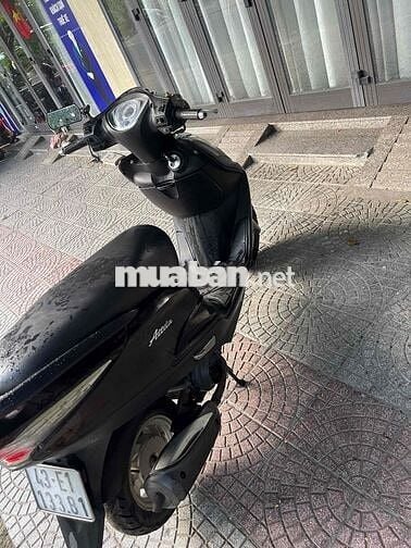 Bán atila chân bấn có giấy tờ