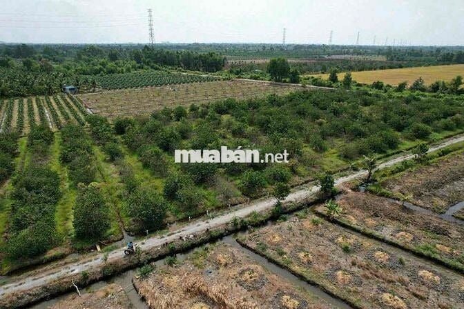 1000m Đất Vườn DT Đẹp 18x55m Có Thể Hiện Đường